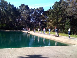 (from Wikimedia Commons)