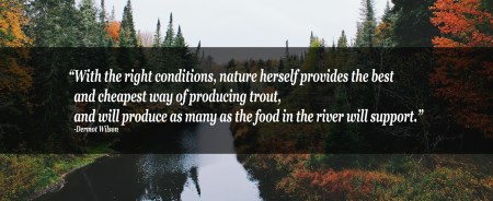 quote-conservation