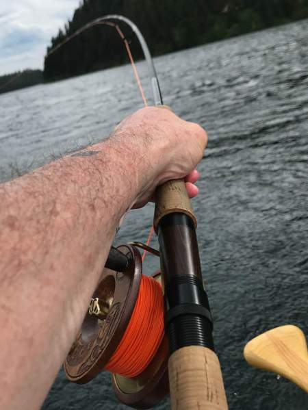 103990039_10216903455366648_6625627136294806422_n