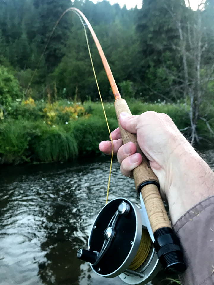 107476790_10217115178499594_3301073487218272788_n